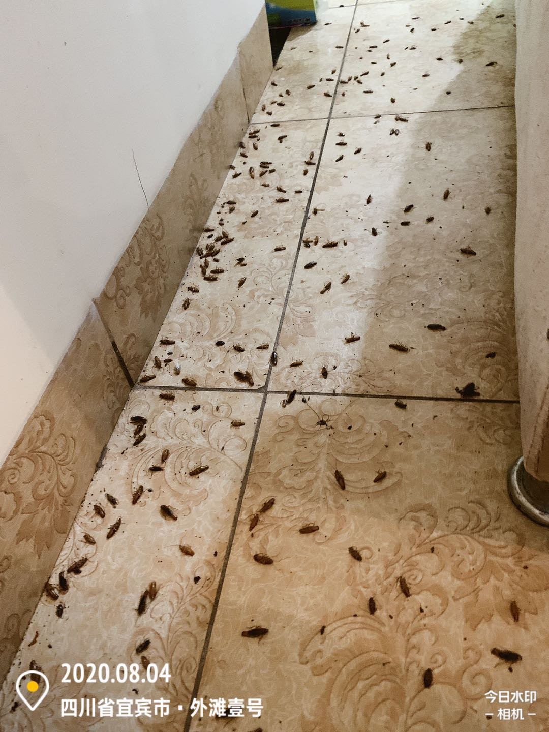 宜宾市优创有害生物防治有限公司